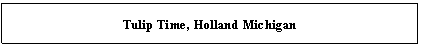 Text Box: Tulip Time, Holland Michigan